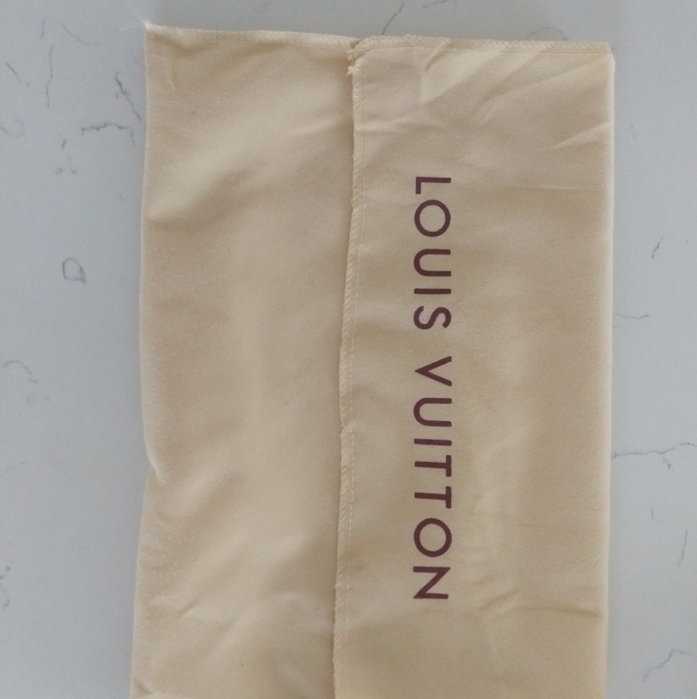 Louis Vuitton Protective Bag